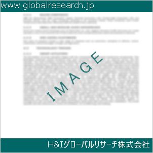 グローバルリサーチ調査資料のイメージ